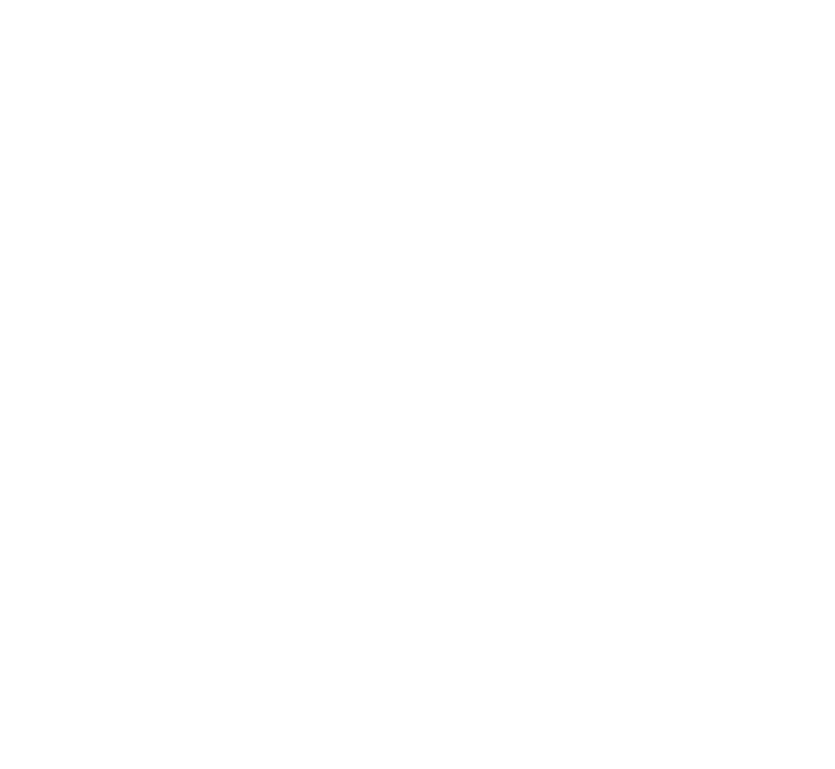 Logo Cycle & Trott - Magasin de vélos et trottinettes électriques à La Rochelle